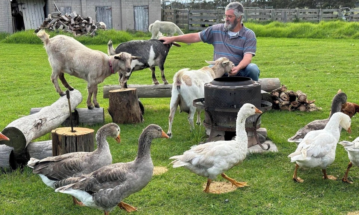 Alberton West House | A chance to get away from it all, farm life!