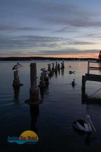 Greenwell Point Hotel | Anchor Bay Motel