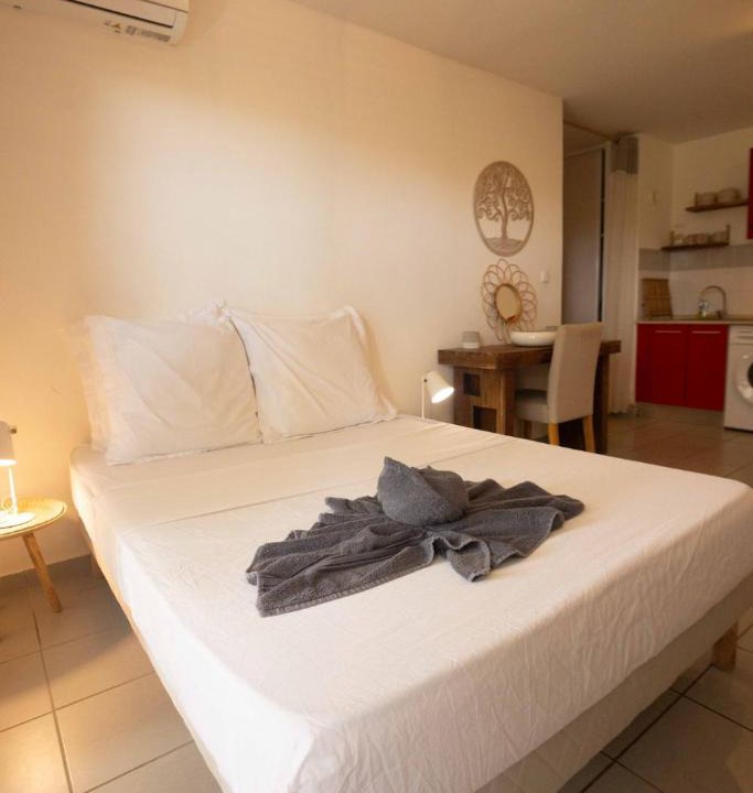 Cayenne Apartment | Appartement rémire Jacuzzi et wifi tout équipé