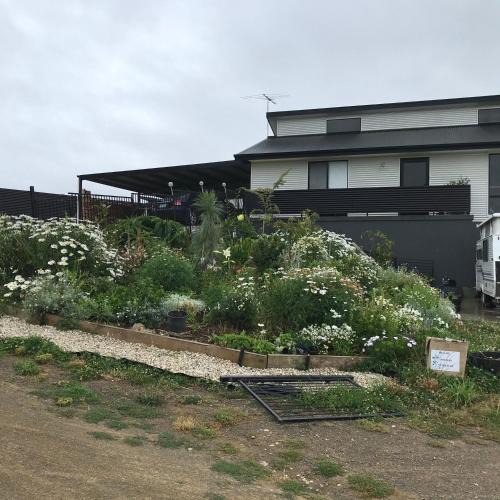 Huonville Bed & Breakfast | Bob Brown Room Art House