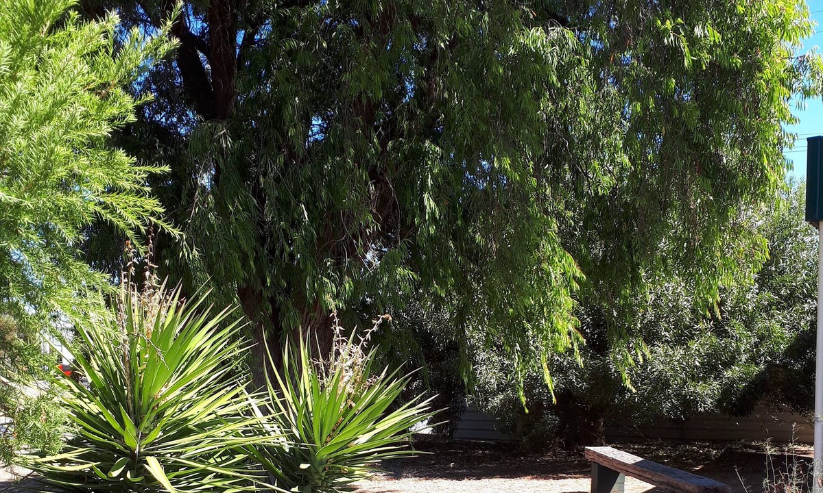 Tatiara Hotel | Bordertown Motel