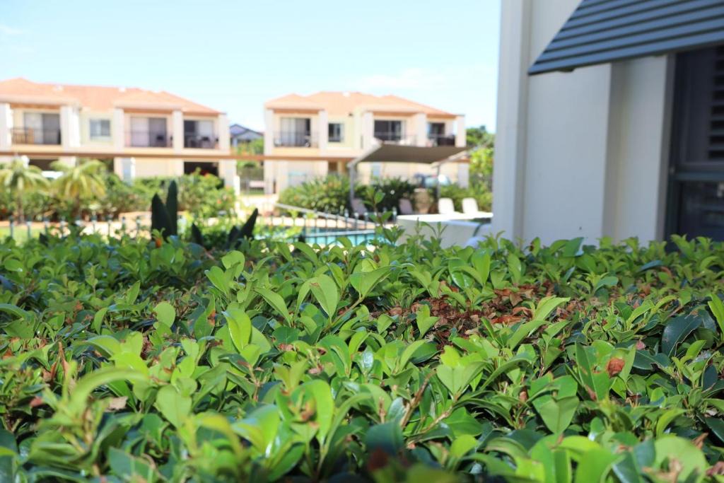 Yamba Apartment | Breakers 1-3- Stone Real Estate Yamba