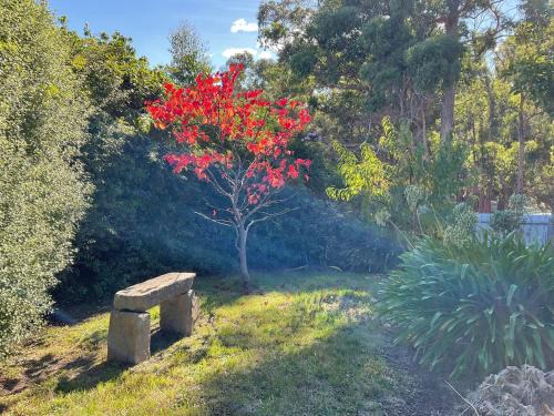 Alonnah House | Bruny Sunset Beach