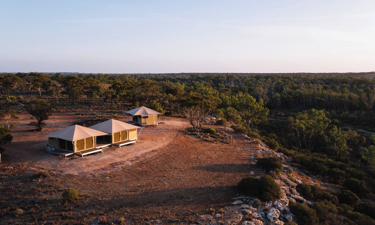 Morgan Cabin | Byrne Vineyards - Eco Suites 3 Tent Package