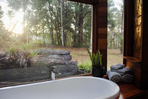 Coffee Camp House | Coffee Grounds - The Bus