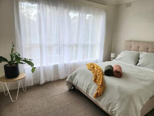 Williamstown Apartment | Cosy & Convenient Williamstown