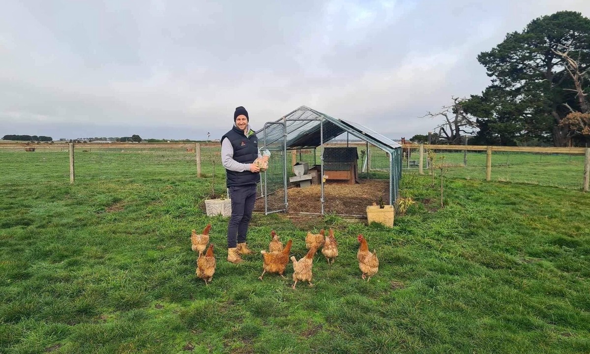 Morrisons Other | Cosy farm retreat. Stunning views and friendly animals to feed