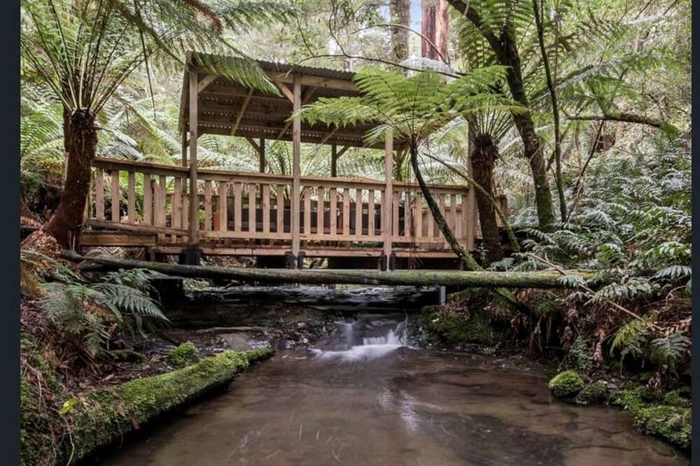 Tanybryn Cottage | Cottage with private Rainforest and Waterfalls in Tanybryn, Victoria