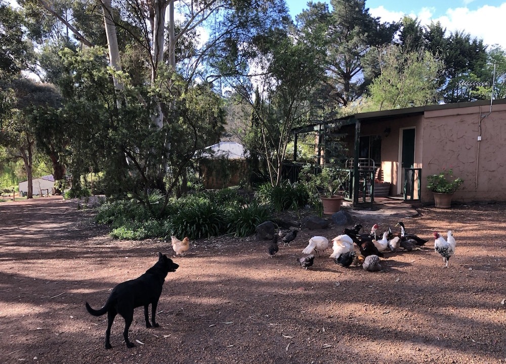 Bridgetown Cabin | Country Cottages of Bridgetown