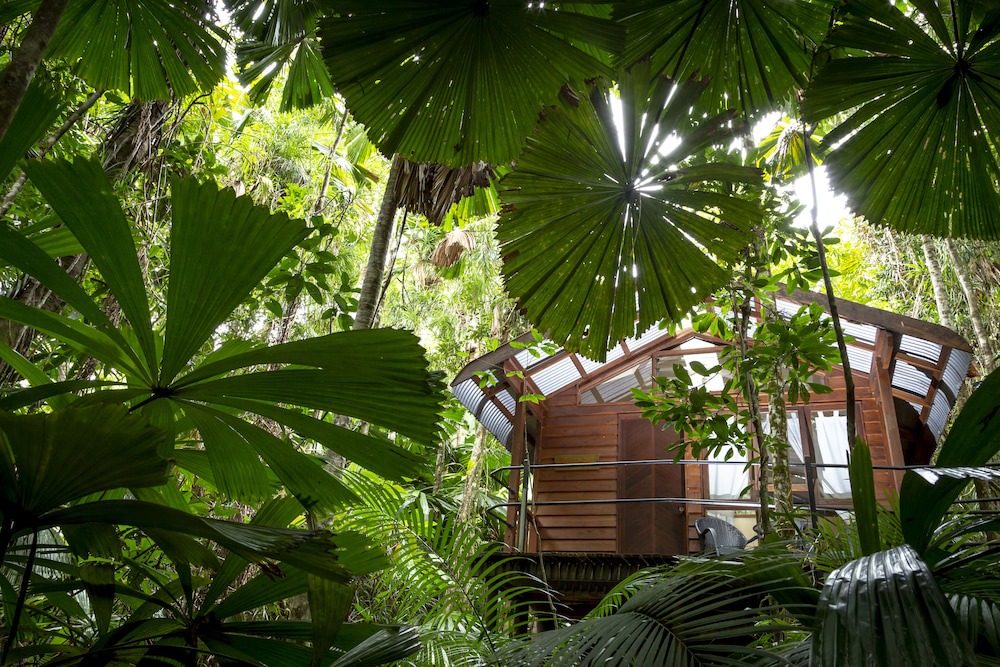 Diwan Cabin | Daintree Wilderness Lodge