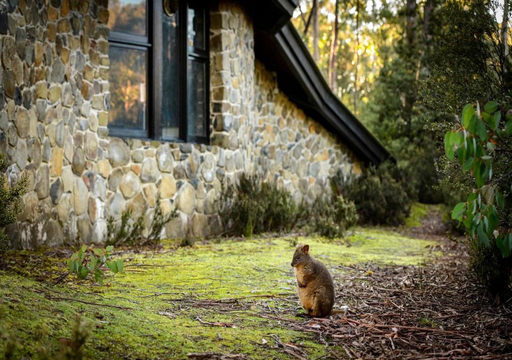 Cradle Mountain Cabin | Discovery Parks - Cradle Mountain