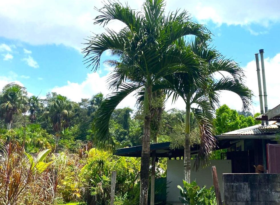 Les Hattes House | Dolce Vita Kreyol