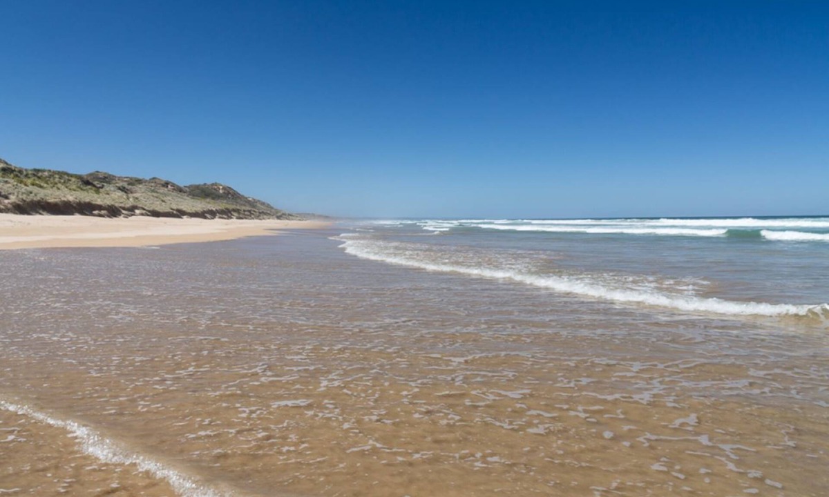 Venus Bay House | Double block - perfect for cricket, footy, dogs, kids and relaxation.