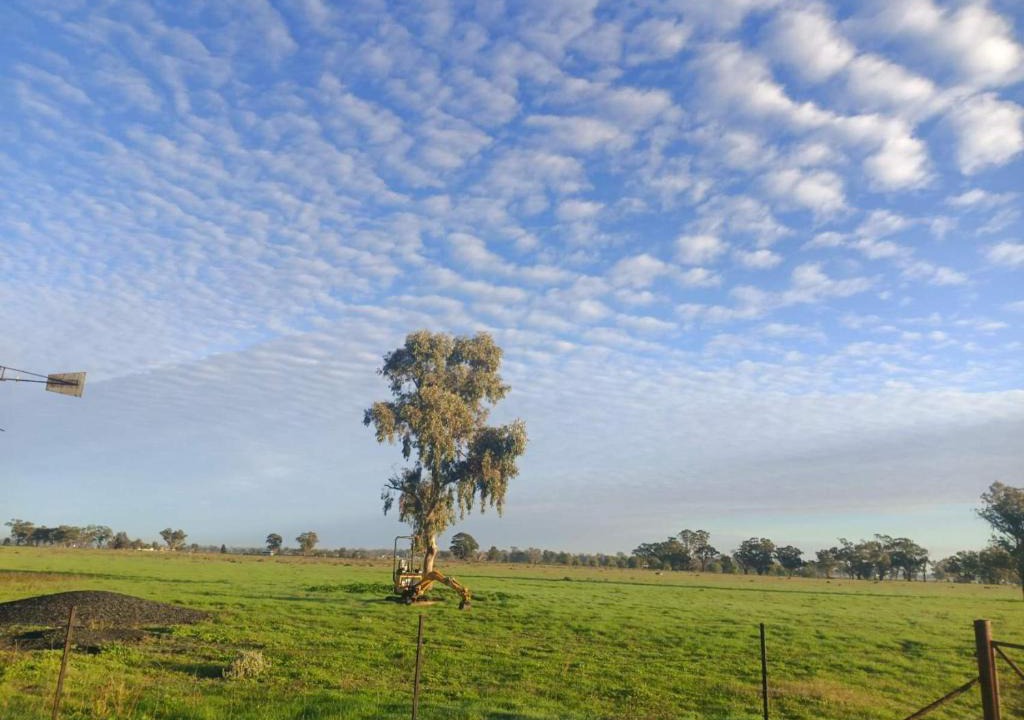 Dubbo House | Dubbo Farm