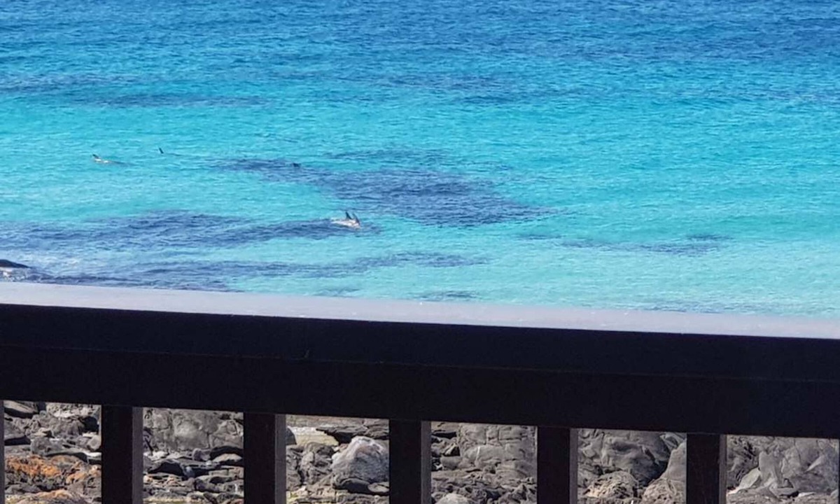 Penneshaw House | Explore coastal luxury at On The Rocks