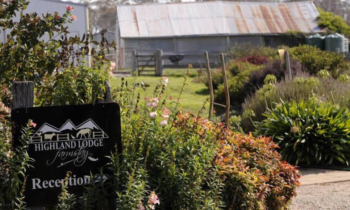 Hill Top Cabin | Family friendly farm retreat, only 10 mins from Jindabyne