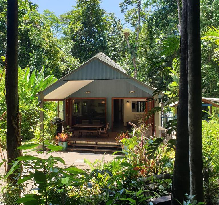 Diwan House | Forest views