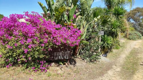 Lakes Entrance Apartment | Forest Walks