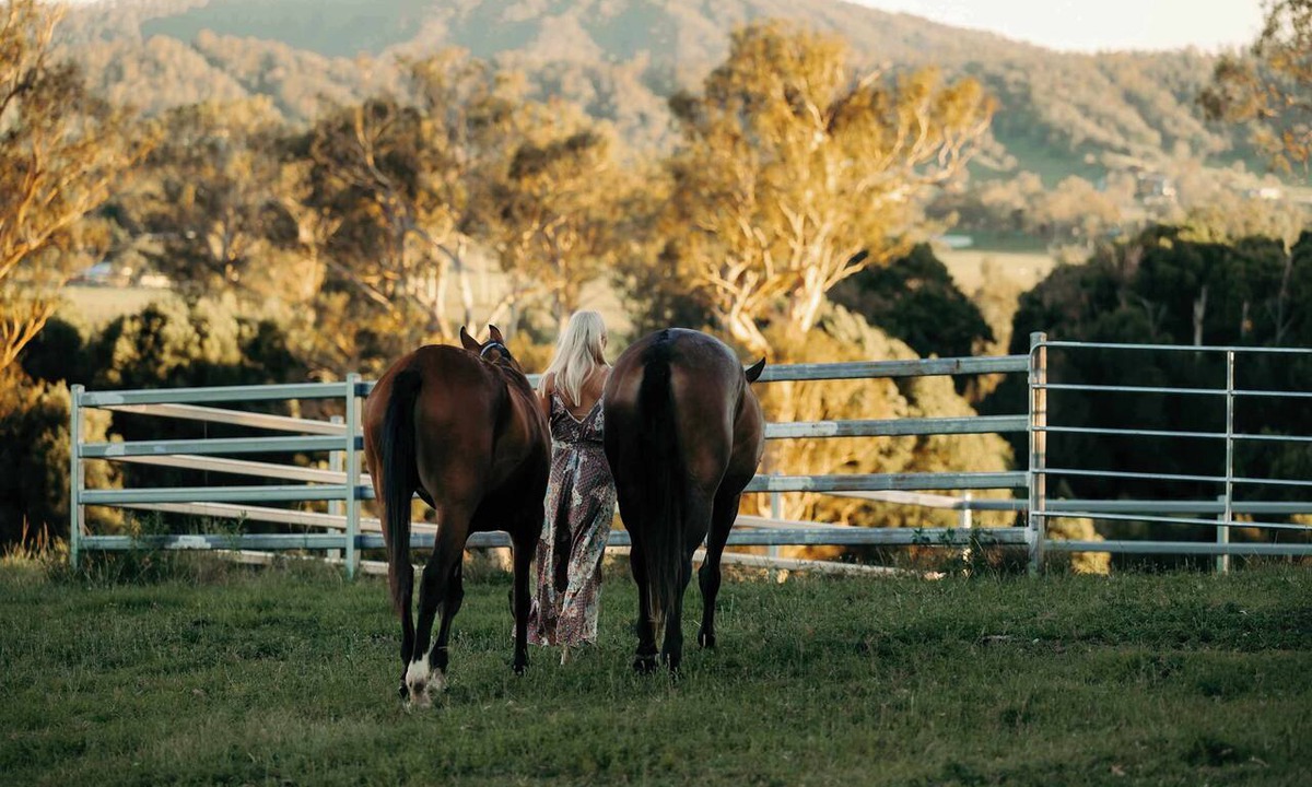 Fawcetts Plain House | Frank's Place – Mid-Century Farmhouse & Horse Riders’ Haven