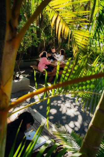 Glebe Hostel | Glebe Terraces