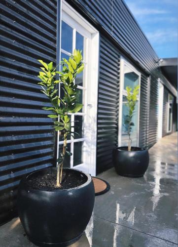 Dubbo House | Hidden Haven - Urban Oasis - Secret Space - Off-street parking