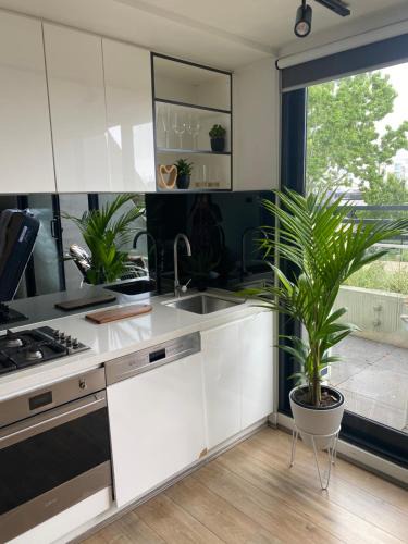 Brunswick East Apartment | Inner city escape