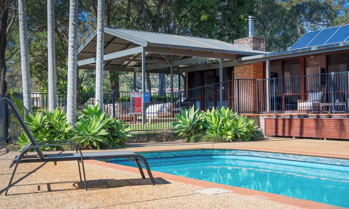 Port Macquarie House | Koalas at Links Lighthouse Beach