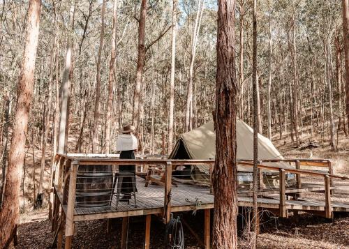 Wyee Other | Kookaburra Chateau