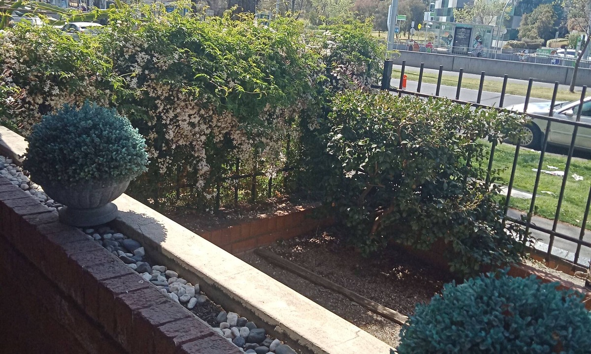 North Melbourne Apartment | Large spacious apartment very quiet and close to all Melbourne as to offer.