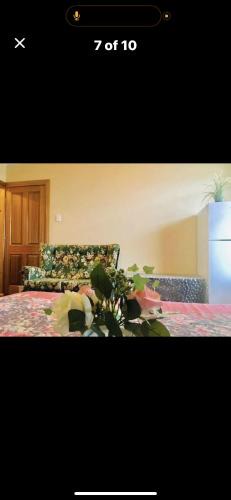 Rosewater House | Less pay for master room