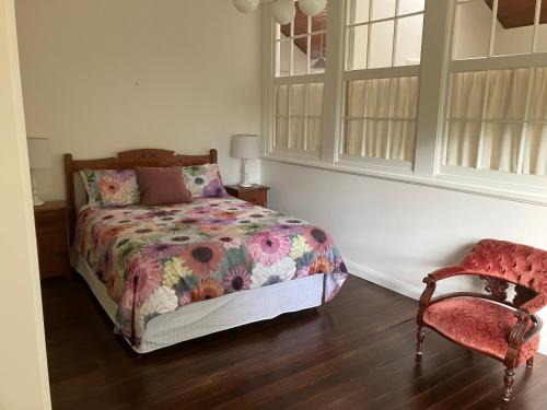 Hamilton Apartment | Library Cottage