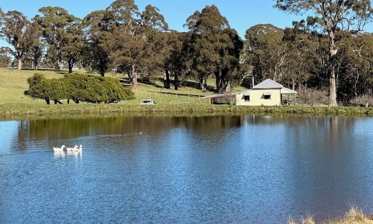 Tomalla Cabin | Milmilland Cottage - 10 mintutes to the Barrington Tops, Escape and unwind.