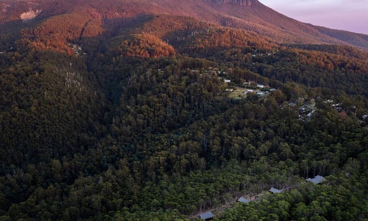 Fern Tree Cabin | Mosswood - Breath Quiet Hideaways, Hobart