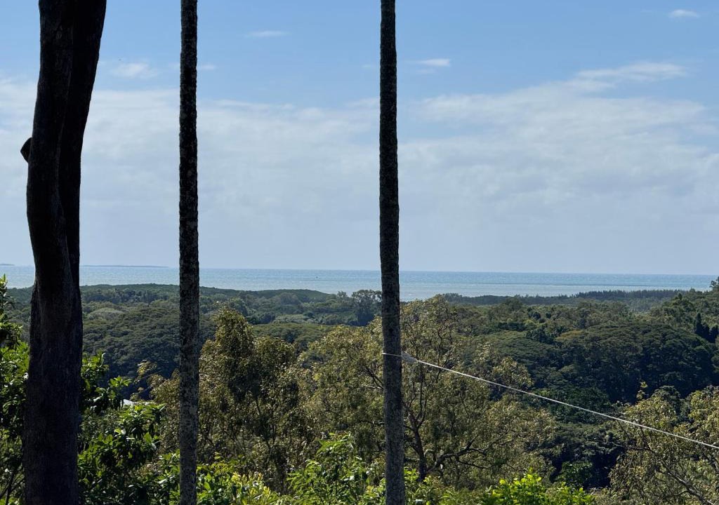 Mowbray Villa | Mount Panorama sea and valley views whole house and garden private