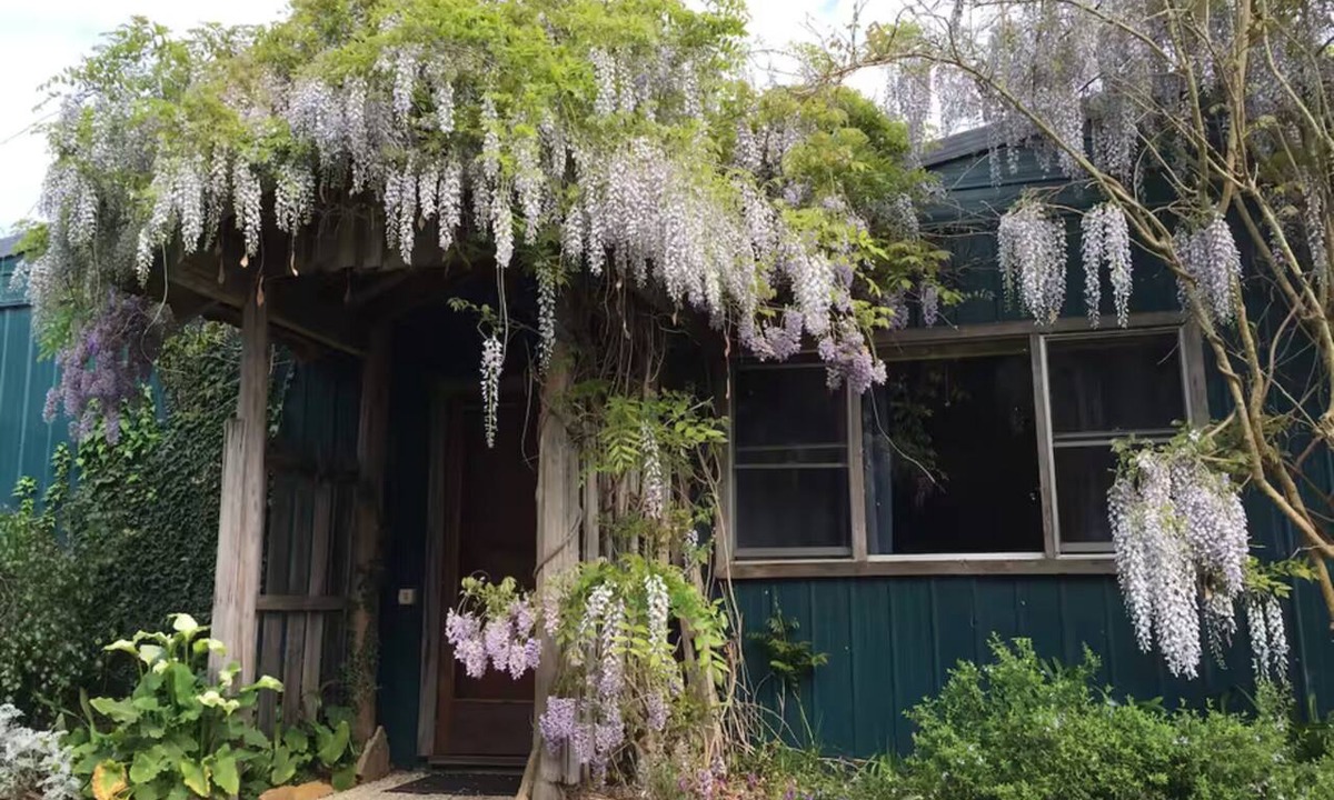Lake Tyers Beach Other | Peaceful country home 5 minutes from the beach