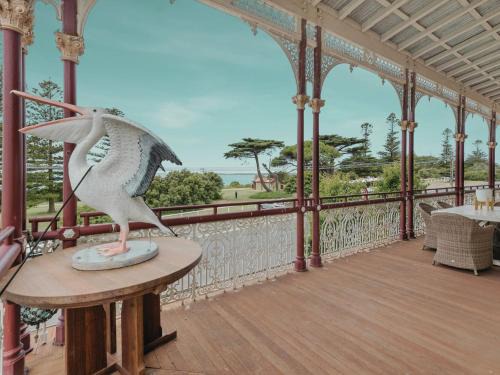 Queenscliff House | Pelicans at the Ozone