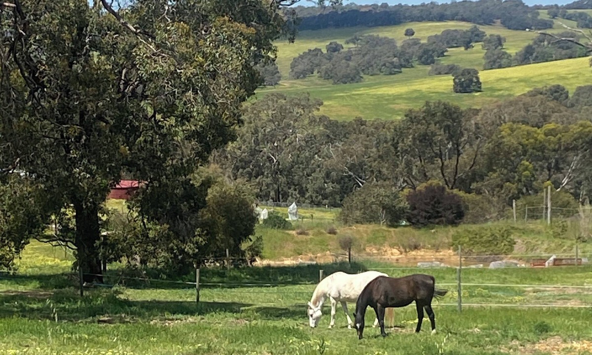 Bullsbrook Cottage | Relax & chill in a spa at Katandra Cottage, just a short drive from the city .