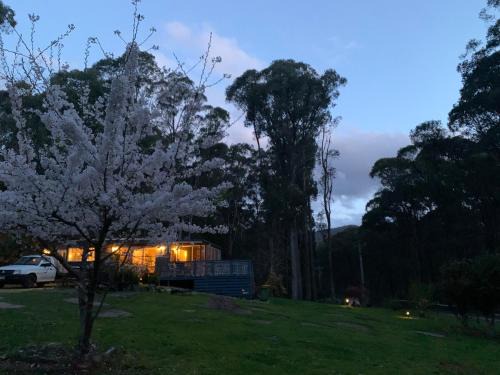 Reefton Apartment | Retreat in a beautiful forest!