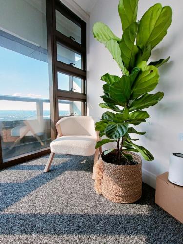 Sydney Olympic Park Apartment | Sky Retreat - King beds