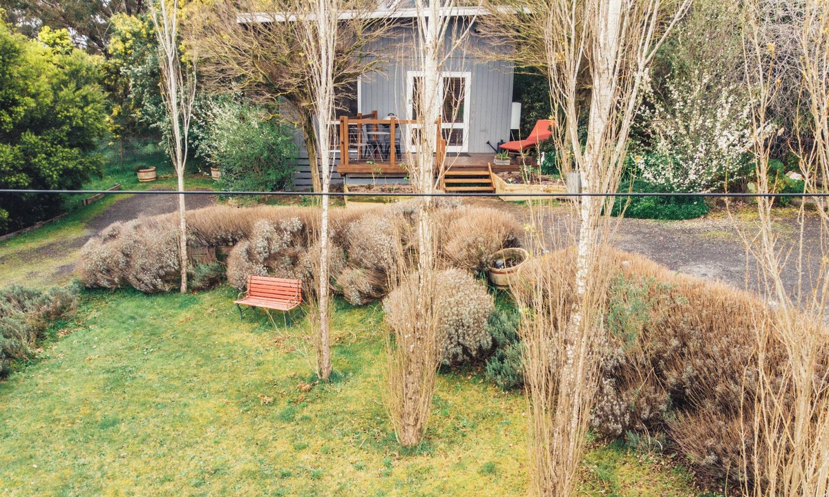 Daylesford Cottage | Spa. Fireplace. Bush views. Walking distance to Daylesford. The perfect getaway