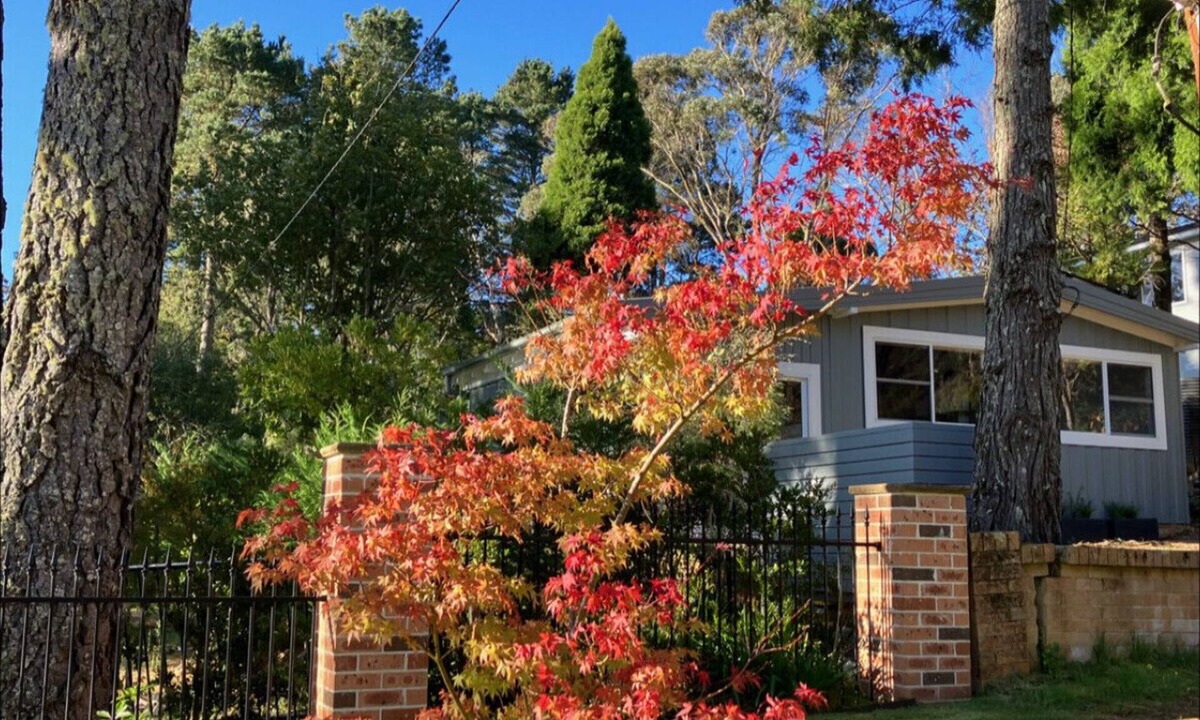 Wentworth Falls Cabin | Sunflower - Cozy Cabin, Lake, Pet & Family Friendly