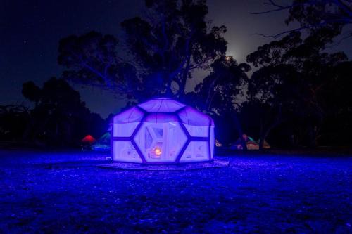 Comaum Other | Taj Mahal upgraded Hex bubble