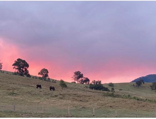 Glendon Brook House | Tangory Farmstay