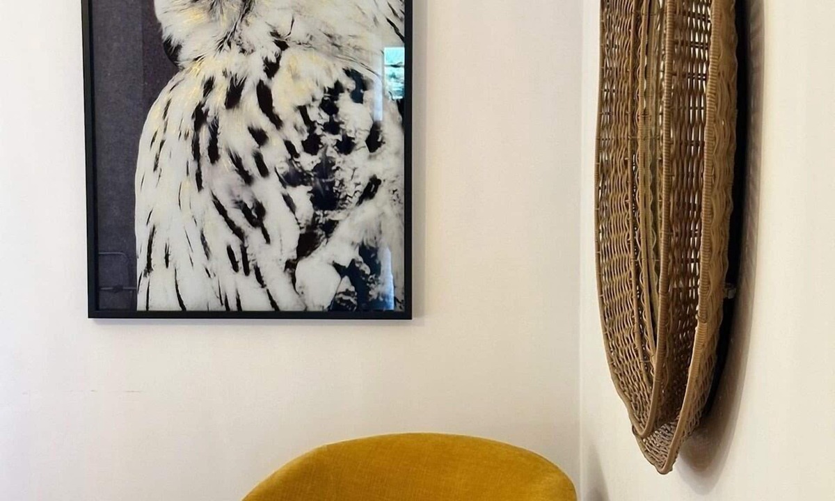 Penguin House | Tarkine Retreat - Light-filled coastal space designed for executive stays