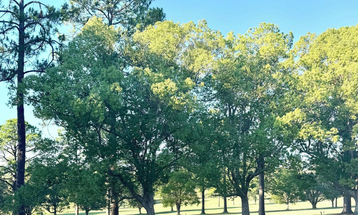 Wauchope Apartment | The Fairway View Apartment | Golf Course Retreat
