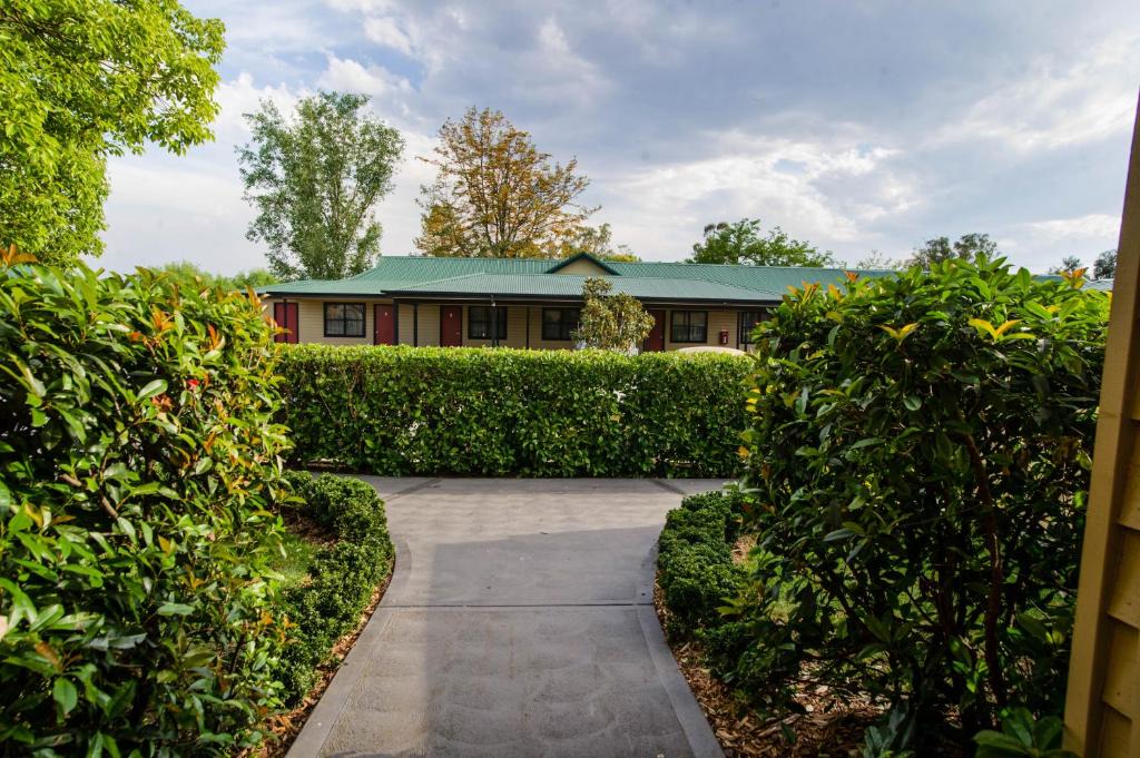 Denman Hotel | The Grapevine Motel