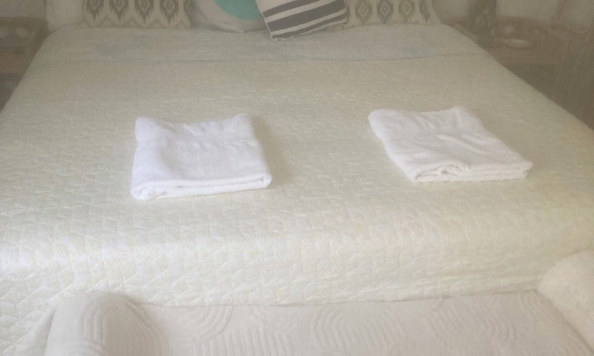 Manly Vale Cottage | The Printery 2 bedroom cottage near Manly