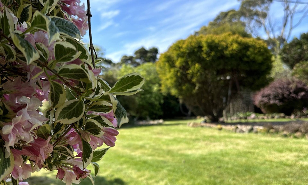 Lymwood House | Two Twenty Two Farm Stay