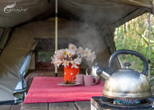Yeagarup Other | WA Wilderness Camping Experience
