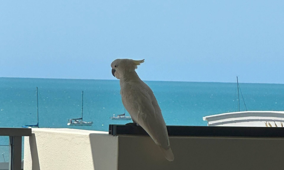 Airlie Beach Apartment | Whisper Bay Mirage Resort 3 bdrm apartment.